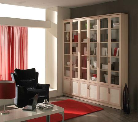 библиотека2